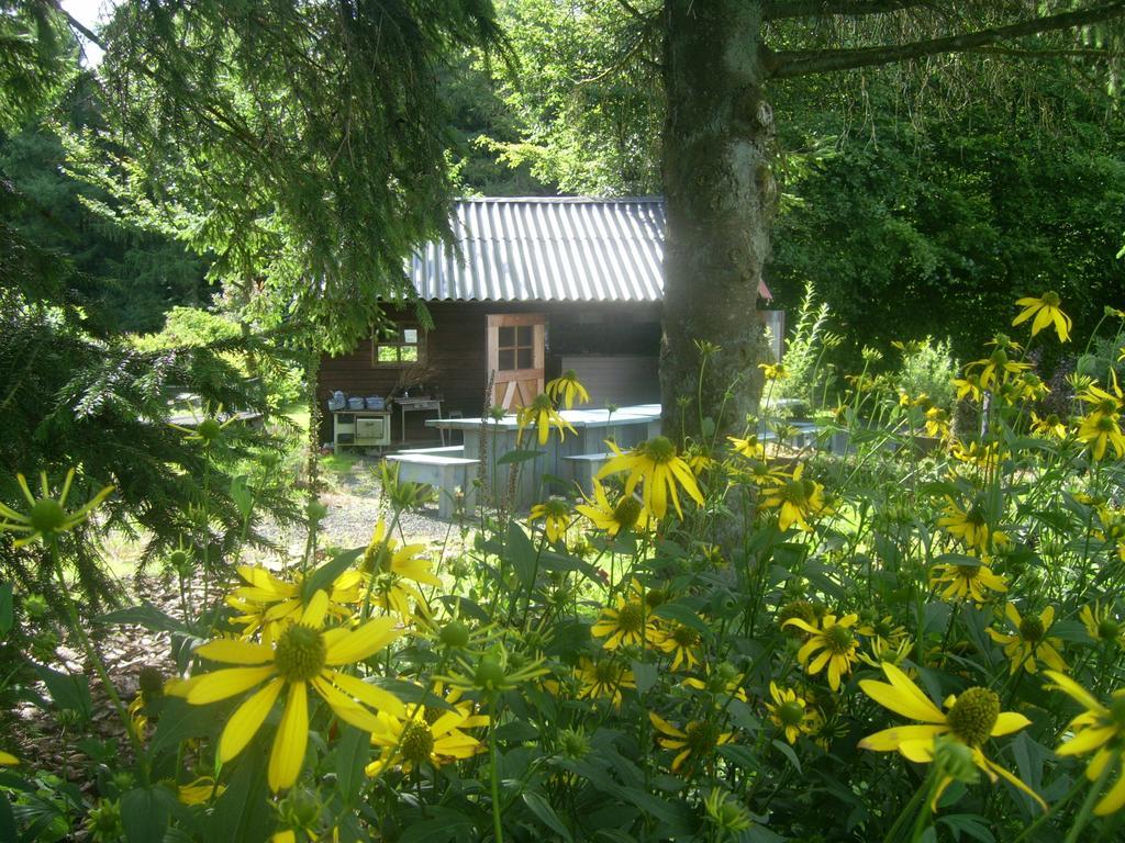 Farm Stay Heidehof Hellenthal Exterior photo